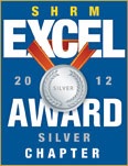 Excel 2012 Silver
